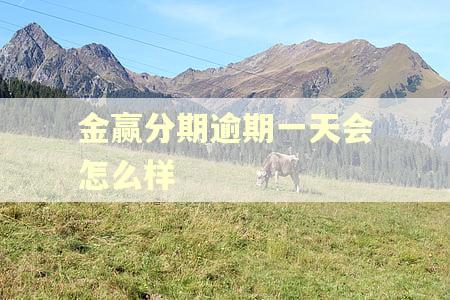 金赢分期逾期一天会怎么样