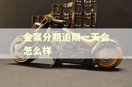 金赢分期逾期一天会怎么样