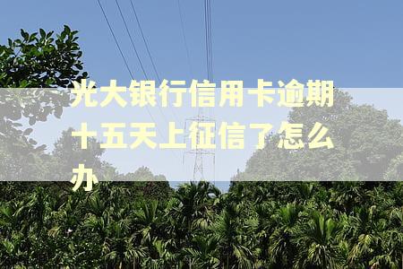 光大银行信用卡逾期十五天上征信了怎么办