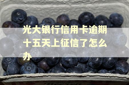 光大银行信用卡逾期十五天上征信了怎么办
