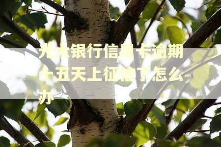 光大银行信用卡逾期十五天上征信了怎么办 光大银行信用卡逾期十五天上征信了怎么办