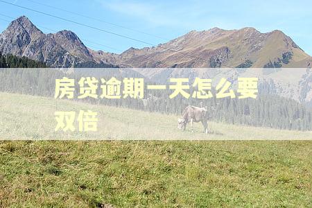 房贷逾期一天怎么要双倍