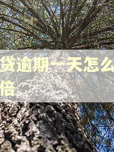 房贷逾期一天怎么要双倍
