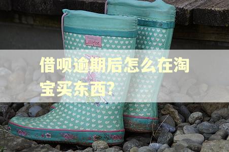 借呗逾期后怎么在淘宝买东西?