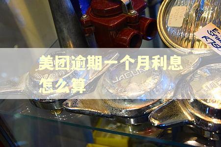 美团逾期一个月利息怎么算