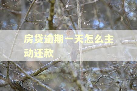 房贷逾期一天怎么主动还款