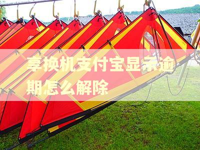 享换机支付宝显示逾期怎么解除 享换机支付宝显示逾期怎么解除