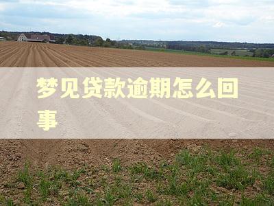 梦见贷款逾期怎么回事