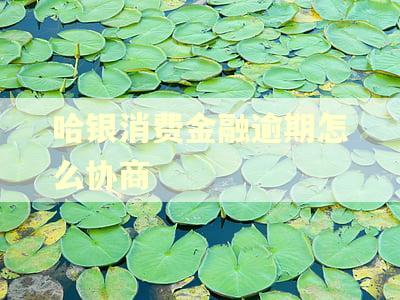 哈银消费金融逾期怎么协商