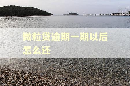 微粒贷逾期一期以后怎么还