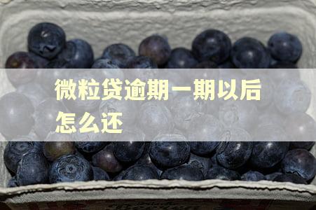 微粒贷逾期一期以后怎么还