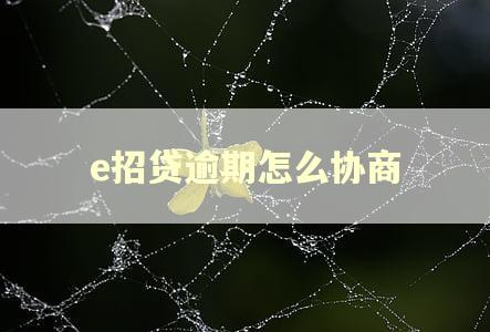 e招贷逾期怎么协商