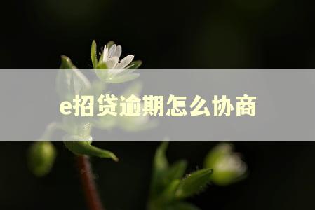 e招贷逾期怎么协商 e招贷逾期怎么协商