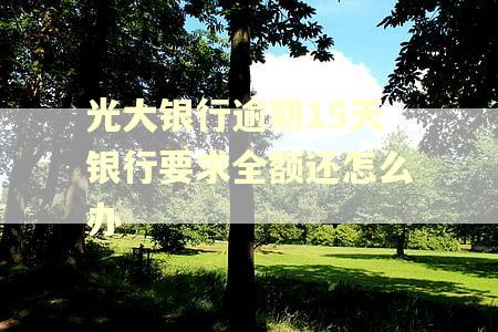 光大银行逾期15天银行要求全额还怎么办
