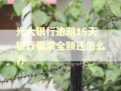 光大银行逾期15天银行要求全额还怎么办