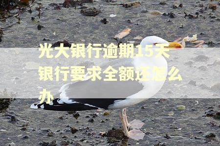光大银行逾期15天银行要求全额还怎么办 光大银行逾期15天银行要求全额还怎么办
