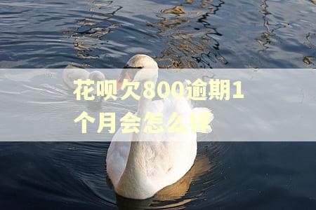 花呗欠800逾期1个月会怎么样