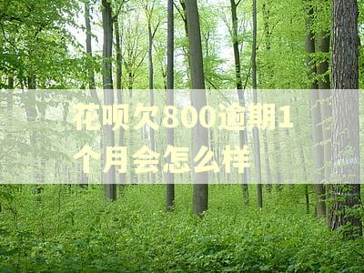 花呗欠800逾期1个月会怎么样