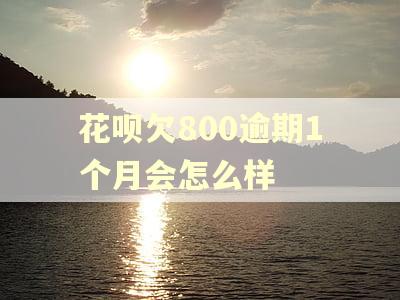 花呗欠800逾期1个月会怎么样