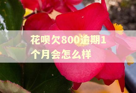 花呗欠800逾期1个月会怎么样 花呗欠800逾期1个月会怎么样