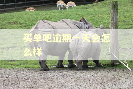买单吧逾期一天会怎么样