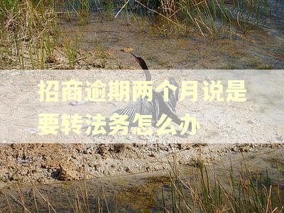 招商逾期两个月说是要转法务怎么办