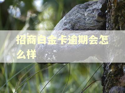 招商白金卡逾期会怎么样