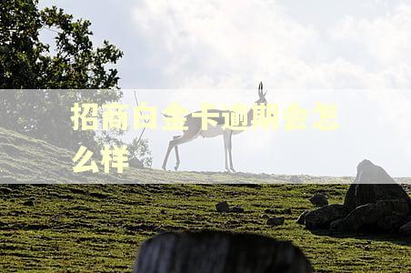 招商白金卡逾期会怎么样