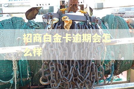 招商白金卡逾期会怎么样