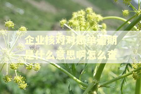 企业核对对账单逾期是什么意思啊怎么查
