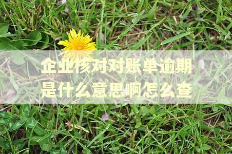 企业核对对账单逾期是什么意思啊怎么查