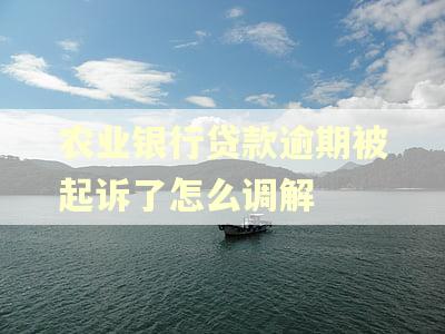 农业银行贷款逾期被起诉了怎么调解