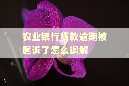 农业银行贷款逾期被起诉了怎么调解