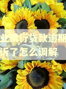 农业银行贷款逾期被起诉了怎么调解