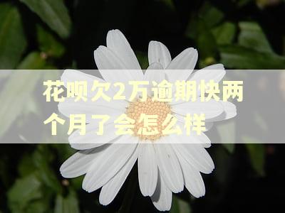 花呗欠2万逾期快两个月了会怎么样
