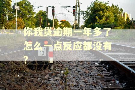 你我贷逾期一年多了怎么一点反应都没有?