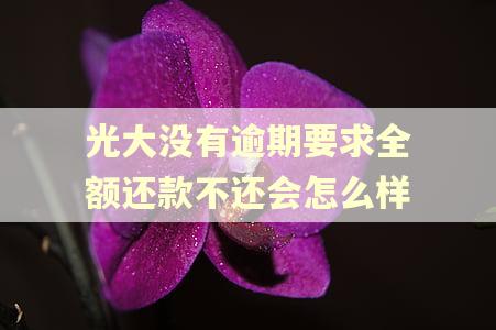 光大没有逾期要求全额还款不还会怎么样
