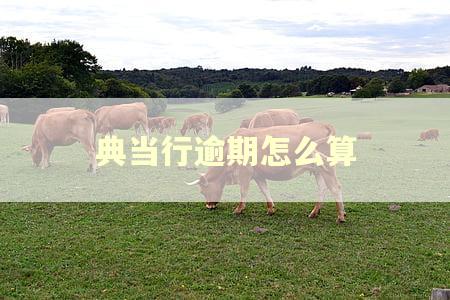 典当行逾期怎么算