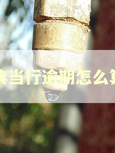 典当行逾期怎么算