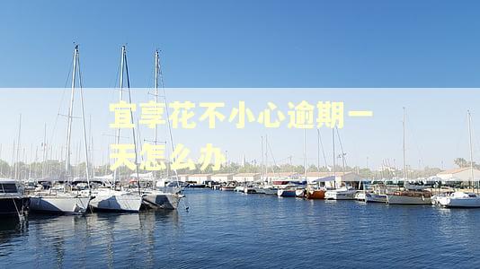 宜享花不小心逾期一天怎么办