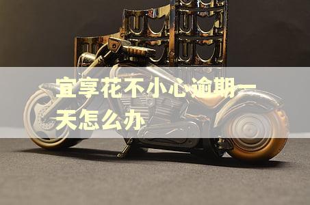 宜享花不小心逾期一天怎么办 宜享花不小心逾期一天怎么办