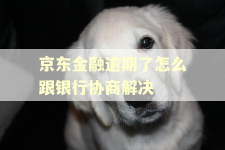 京东金融逾期了怎么跟银行协商解决