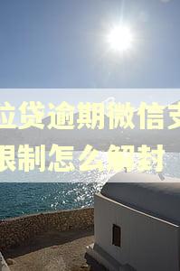 微粒贷逾期微信支付被限制怎么解封