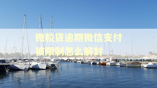 微粒贷逾期微信支付被限制怎么解封