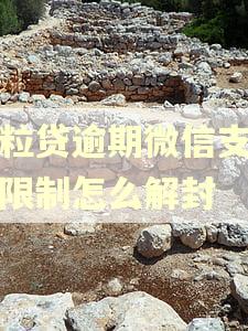 微粒贷逾期微信支付被限制怎么解封