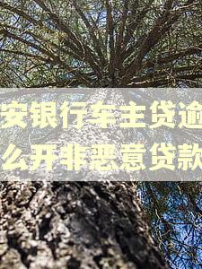 平安银行车主贷逾期怎么开非恶意贷款