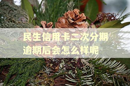 民生信用卡二次分期逾期后会怎么样呢