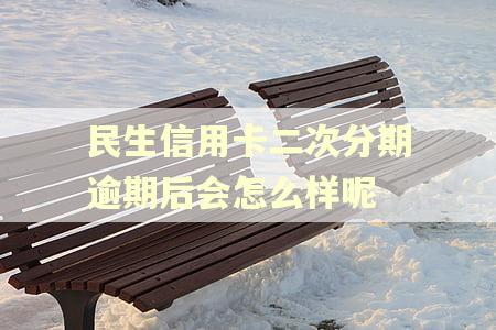 民生信用卡二次分期逾期后会怎么样呢