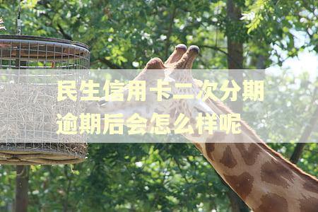 民生信用卡二次分期逾期后会怎么样呢