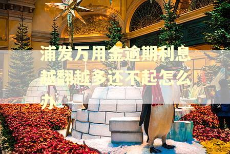 浦发万用金逾期利息越翻越多还不起怎么办